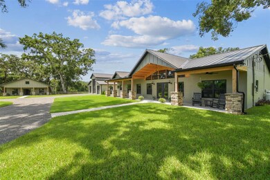 1517 Uncle Buds Ln, Lithia, FL 33547 - photo 4