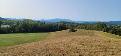 Mt LeConte view from Lot 17