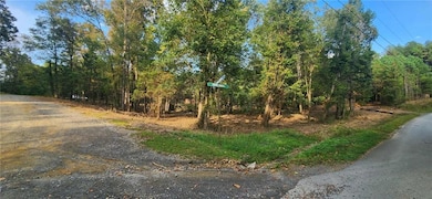 252 Beatrice Ct NE, Ranger, GA 30734 - photo 2