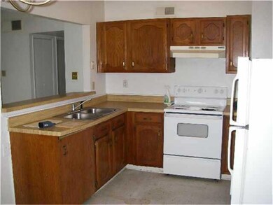 24319 Jumping Jay Dr, Hockley, TX 77447 - photo 4