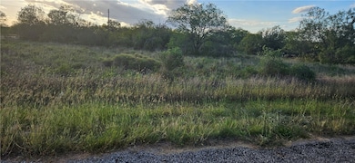 0 French St, Ben Bolt, TX 78332 - photo 2