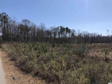 4000 Highway 19, Conway, SC 29526 - photo 6