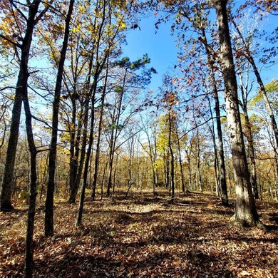 0 Mckibben Rd unit 7665027, Buchanan, GA 30113 - photo 7