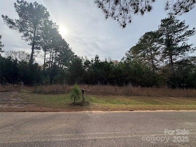 1276 Fincher Rd, Fort Lawn, SC 29714 - photo 3