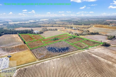 Lot 4 Camp Ground Rd, Claxton, GA 30417 - photo 4