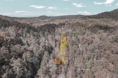 00 River Rd, Tellico Plains, TN 37385 - photo 7