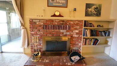 Fireplace in Family Room