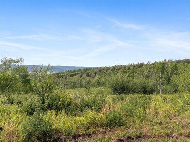 55966 Hannahs Way, Clark, CO 80428 - photo 7