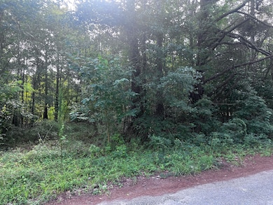 206 Memorial Ave unit 147, Sumter, SC 29153 - photo 3