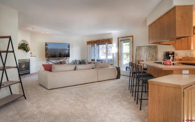 678 N Lakeside Dr, Durango, CO 81303 - photo 5