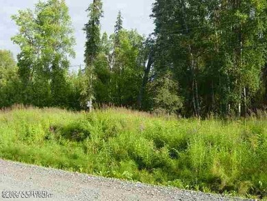 11053 Saunders Rd, Trapper Creek, AK 99683 - photo 2