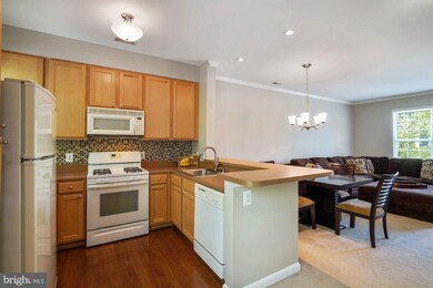 23140 Blackthorn Square, Sterling, VA 20166 - photo 6