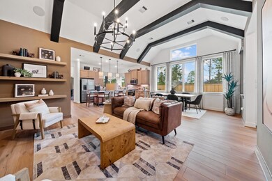 26834 Jovial Meadow Ln, Hockley, TX 77447 - photo 6