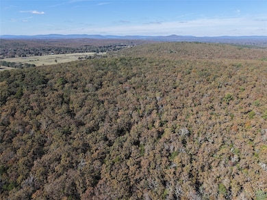 0 Rural Route unit 2548491, Leflore, OK 74942 - photo 7