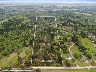 Bird's eye view with a forest view