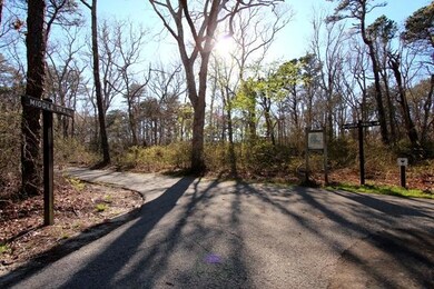 2 Trails in Nickerson Park