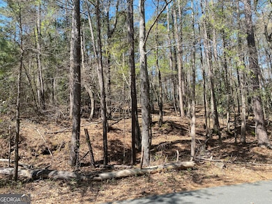 0 Sandra Dr unit 10487926, Gray, GA 31032 - photo 2