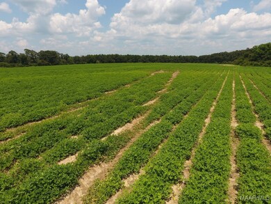 0 Chamblee Rd unit 552298, Kinston, AL 36453 - photo 6