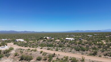 DJI_0867