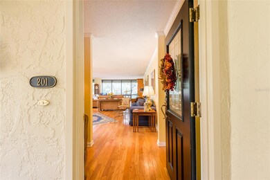 5020 Bayshore Blvd unit 201, Tampa, FL 33611 - photo 5