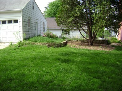 Backyard - summer