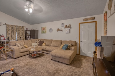 2014 W Perkins St, Joplin, MO 64801 - photo 5