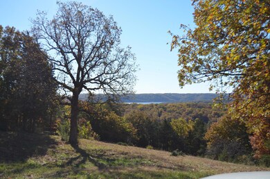 Lot 12 Bartels Subdivision, Kimberling City, MO 65686 - photo 4