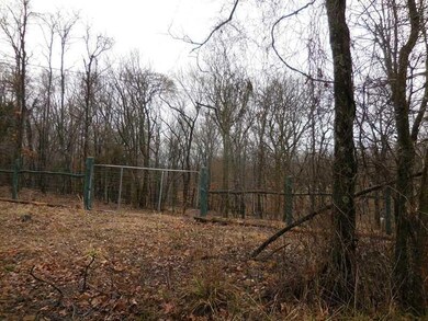 16372 Low Gap Rd, West Fork, AR 72774 - photo 2