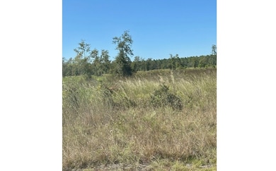 0 NE 35th Ave unit 129202, Bronson, FL 32621 - photo 6