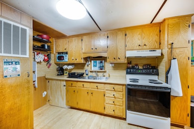 1100 Rice Ln, Big Island, VA 24526 - photo 5