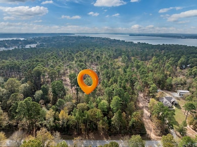 0 Pintail Dr, Flint, TX 75762 - photo 5