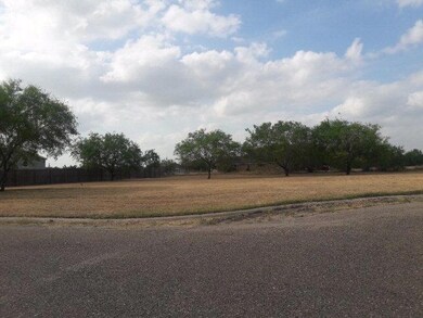 1709 Leanne Ln, Donna, TX 78537 - photo 2