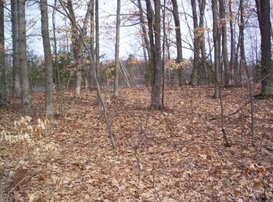 1 Lakeshore, Merrill Township, MI 49309 - photo 6