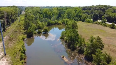 219 Cannon Bridge Rd, Orangeburg, SC 29115 - photo 3