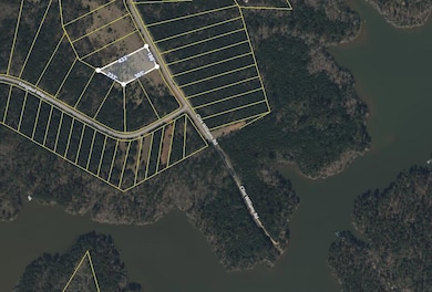 1041 Clint Williams Rd GIS PLat MAP