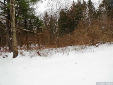 0 Church Ave unit 94606, Germantown, NY 12526 - photo 7