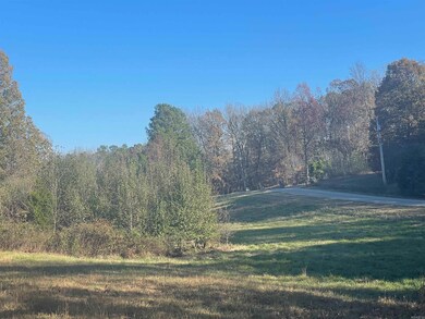 0 Shiloh, Paragould, AR 72450 - photo 6