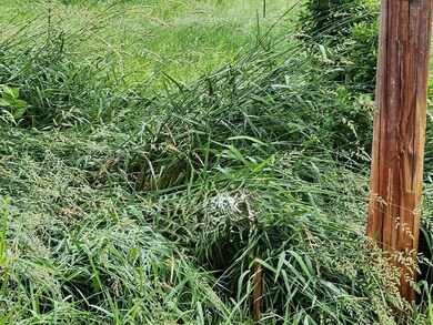 503 W North Rd, Cadott, WI 54727 - photo 5