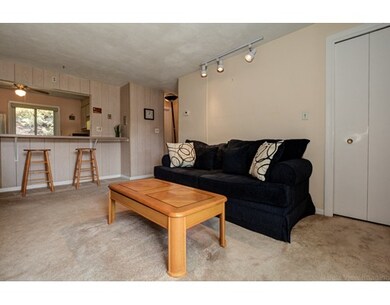 32 Jacqueline Rd unit B, Waltham, MA 02452 - photo 4