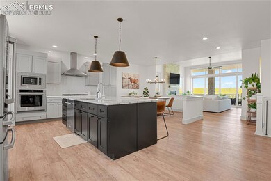 18320 Falcon Hwy, Peyton, CO 80831 - photo 4