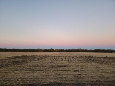 TBD 2 County Road 4307, Greenville, TX 75401 - photo 2