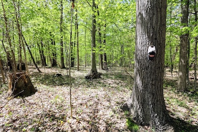 VL Benny Ct (Private) unit Parcel 3, Grand Junction, MI 49056 - photo 3