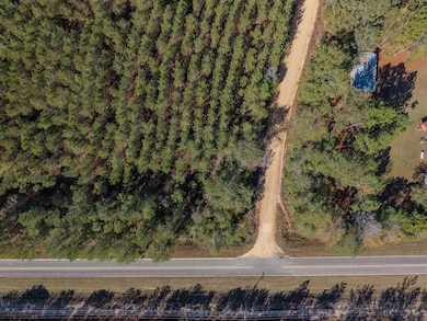 000 Avera Rd, Roberta, GA 31078 - photo 2