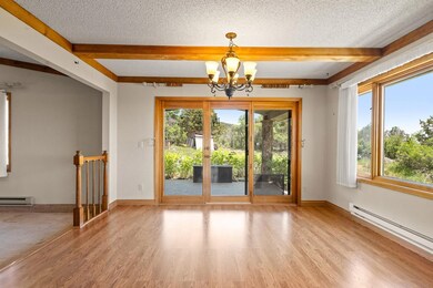 21565 Highway 65, Cedaredge, CO 81413 - photo 7