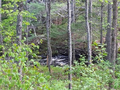 Frontage along the Medomak River