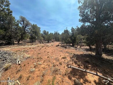 Lot #2 Power Line Rd unit S, Heber, AZ 85928 - photo 5