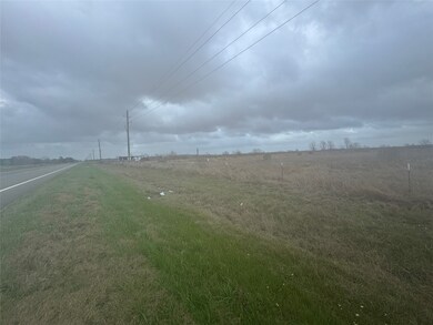 0 Guy-Long Point Fm 1994 Rd unit 54225963, Guy, TX 77444 - photo 6