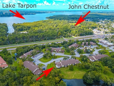 1200 Tarpon Woods Blvd unit P1, Palm Harbor, FL 34685 - photo 6