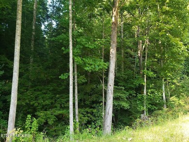 20220827_165837 - Copy