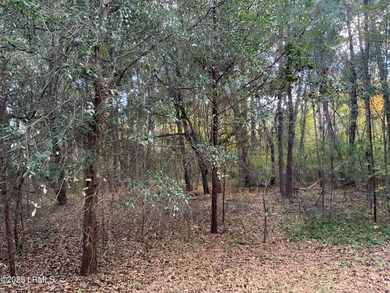 37 Pearl Harbor Dr, Seabrook, SC 29940 - photo 4